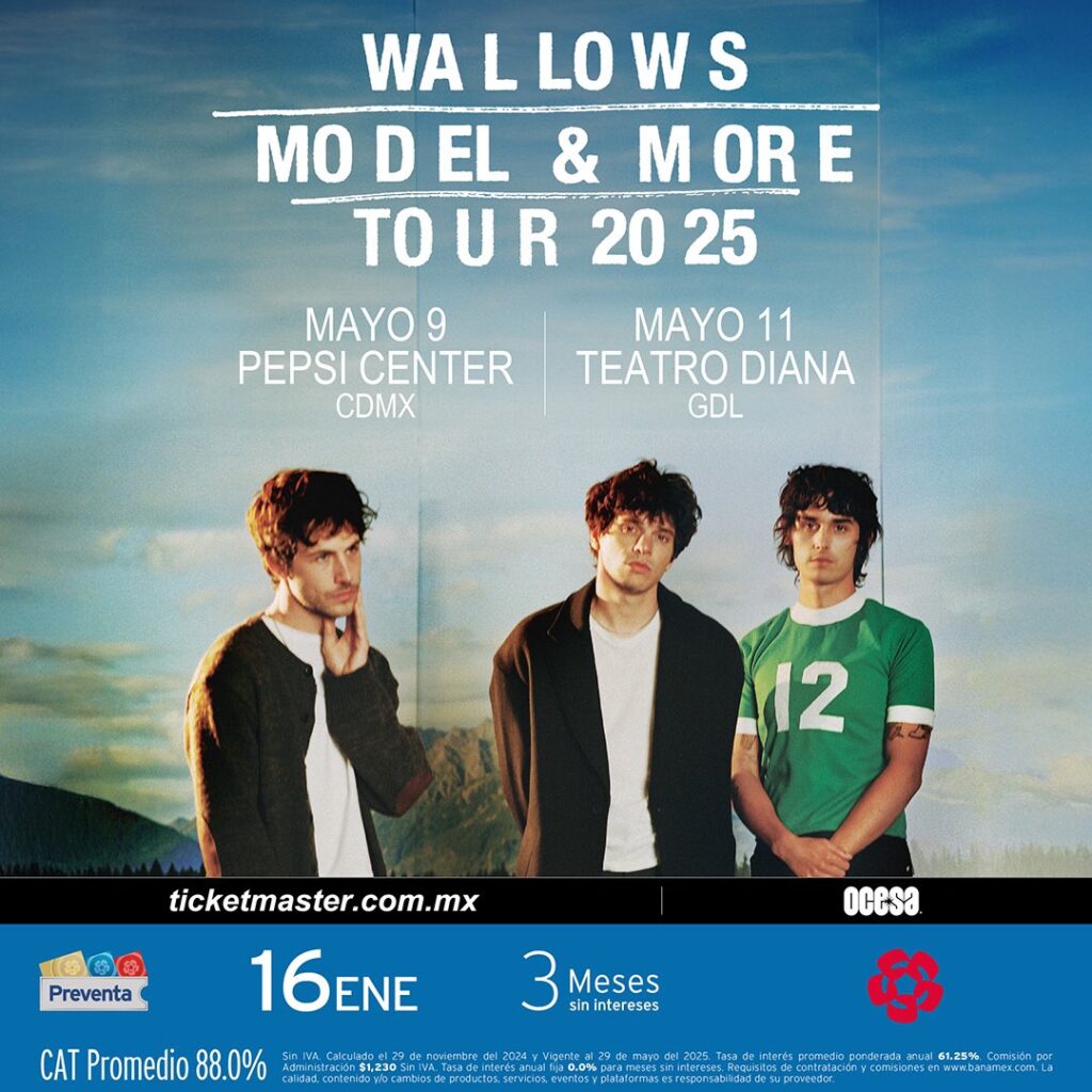 Wallows en México 2025