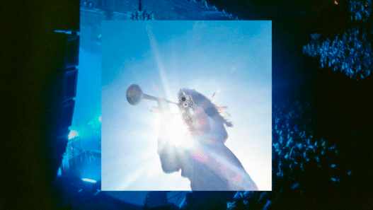 Getting Killed de Geese