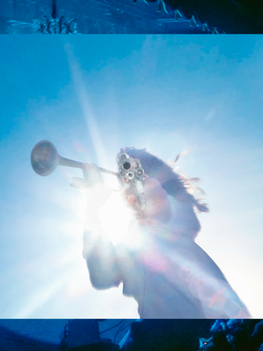 Getting Killed de Geese