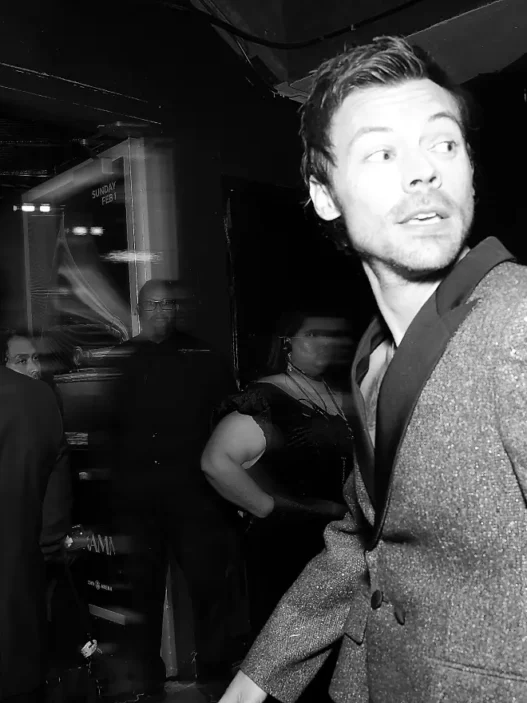 Kiss All The Time Disco Occasionally Harry Styles